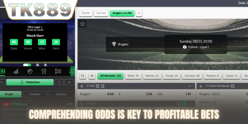 Comprehending odds is key to profitable bets