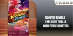 Rooster Rumble – Explosive Thrills With Fierce Roosters