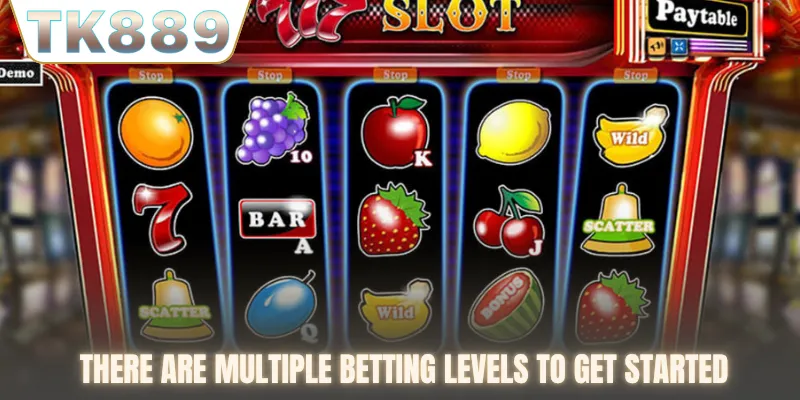 There are multiple betting levels to get started
