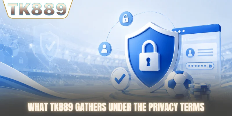What TK889 gathers under the privacy terms