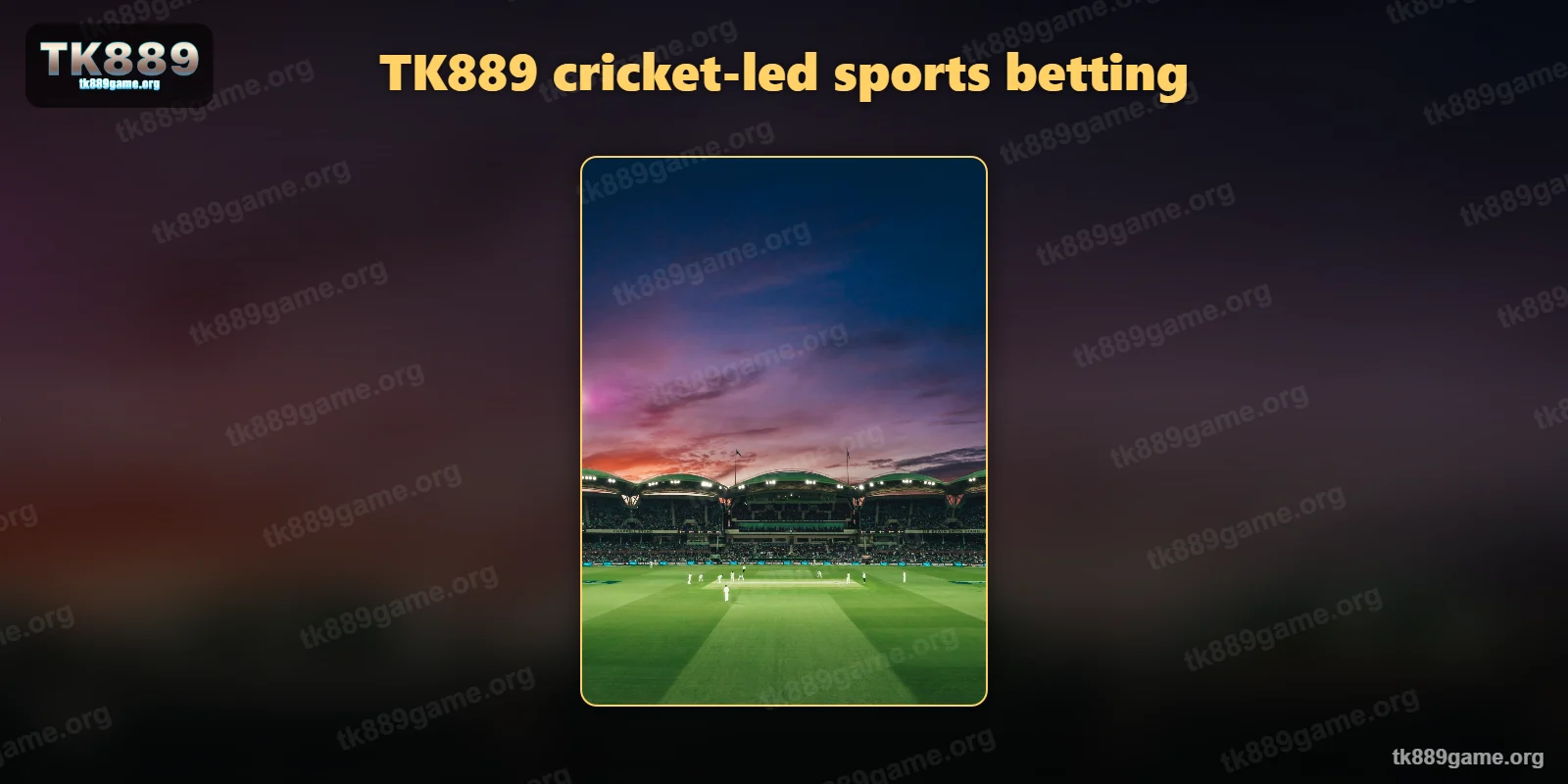 Cricket players on the field – TK889 cricket-led sports betting