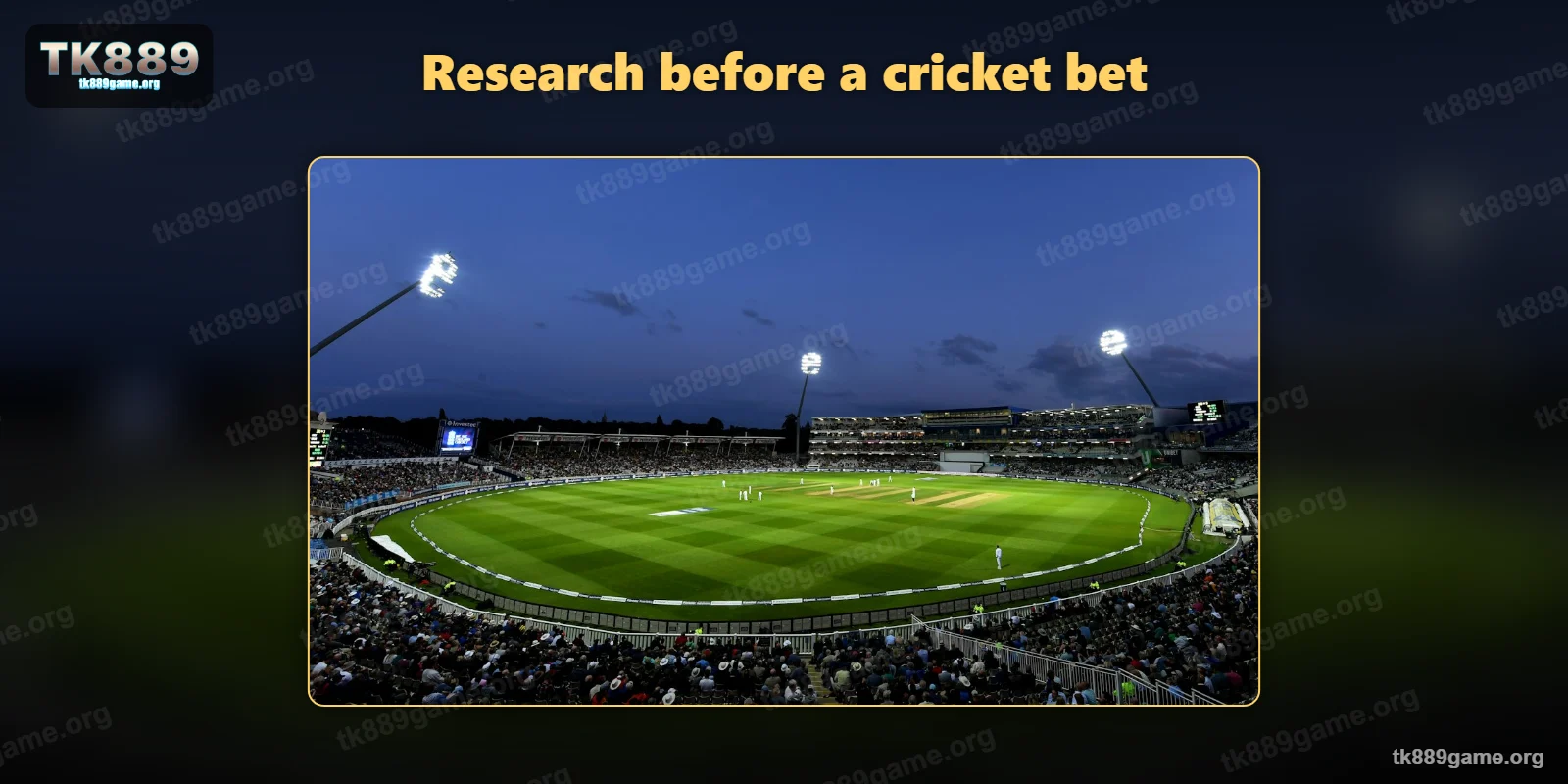 Stadium crowd – research before a cricket bet at TK889